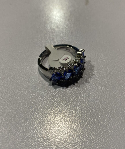 AR-rng-Blu-450-002